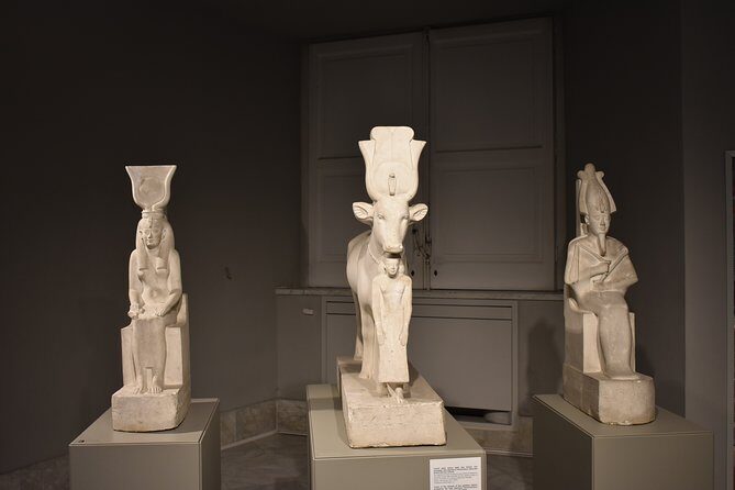 Tour of the Archaeological Museum of Naples - Introduction: A Cultural Treasure Trove in Naples