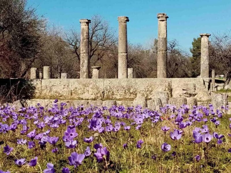 Tour of the archaeological site of Olympia by an Italian-Greek archaeologist - An In-Depth Look at the Olympia Tour Experience