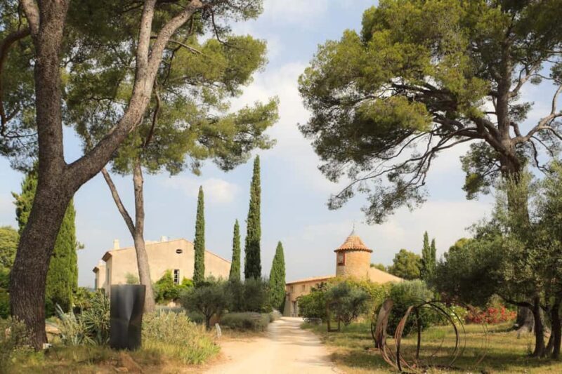 Tour of the Bandol and Côtes de Provence vineyards + Lunch - Key Points