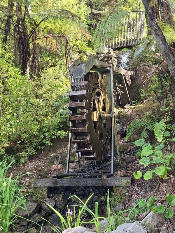 Tour of the Bay, Te Puna Sculpture Park and Historic Village - A Balanced Look at the Tour Experience