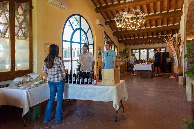 Tour of the cellar and tasting of 6 wines - Key Points