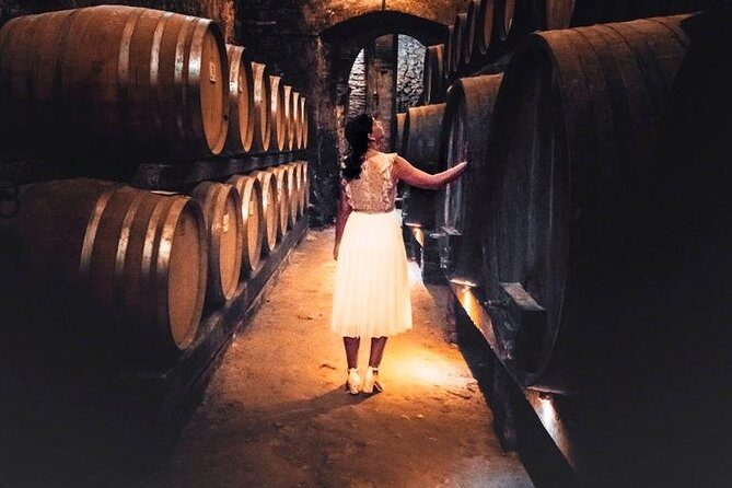 Tour of the historical cellars in Montepulciano - Exploring the Montepulciano Cellars Tour: A Deep Dive