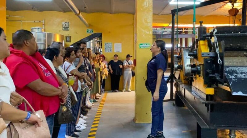 Tour of the La Aguirreña tequila factory with tasting in Tequila, Jalisco. - Tasting the Spirit of Mexico