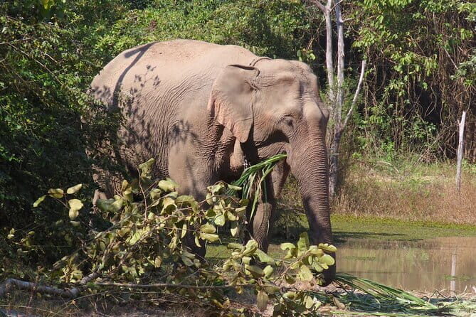 Tour of the Wildlife Rescue Center - An In-Depth Look at the Itinerary