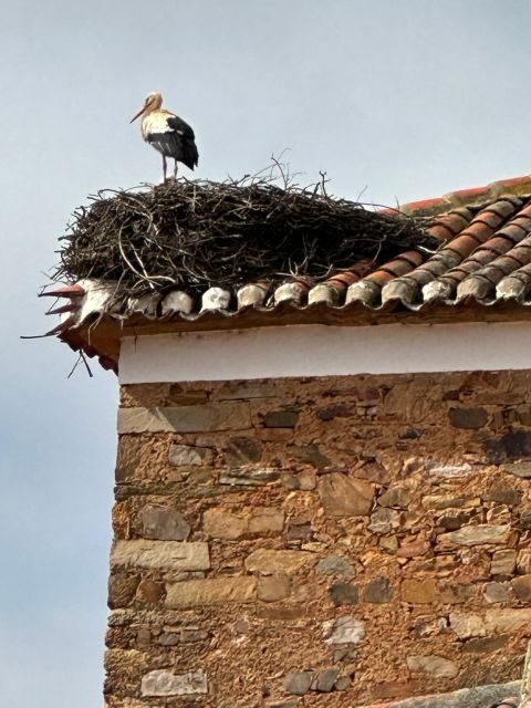 Tour Oviedo Castrillo Polvazares Astorga and Leon Cathedral - FAQ