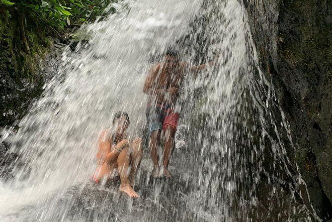 TOUR PACKAGE (jungle trekking, taxi, Room) 4 DAYS 3 NIGHTS in BUKIT LAWANG - The Value of This Adventure