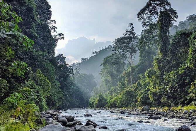 TOUR PACKAGE (jungle trekking, taxi, Room) 4 DAYS 3 NIGHTS in BUKIT LAWANG - Final Thoughts