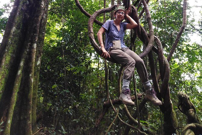 TOUR PACKAGE (Taxi, Room, Jungle Trekking) 3 Days in BUKIT LAWANG - What Makes This Tour Stand Out?