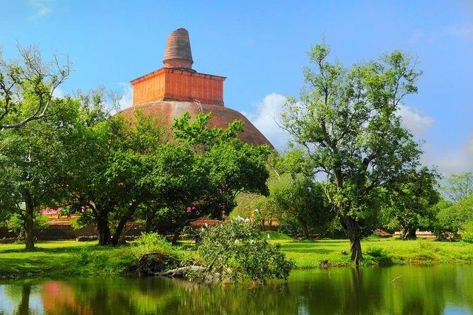 Tour Packages in Sri Lanka - Most Popular Round Tour - All in One Tour - A Deep Dive into the Sri Lanka All-in-One Experience