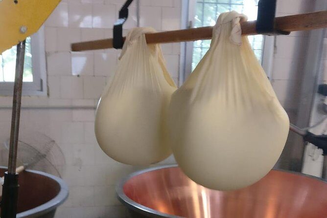 Tour Parmigiano Reggiano dairy and Parma ham - FAQ
