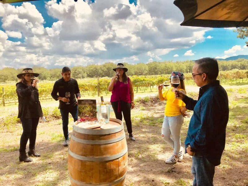 Tour "Parras de la Fuente" + Guía + Traslados + Tickets - Key Points