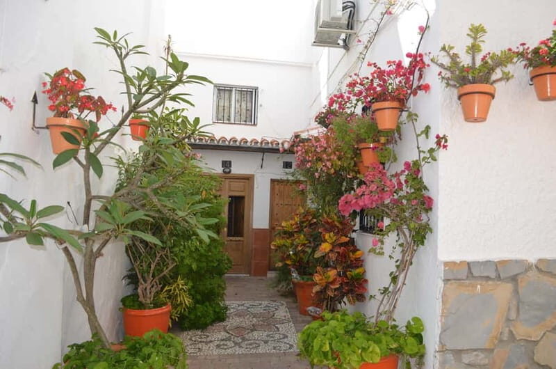 Tour por Estepona Centro - Practical Details and Tips
