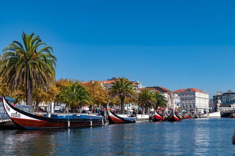 Tour Porto-Aveiro/Costa Nova | half day in portuguese venice - Key Points