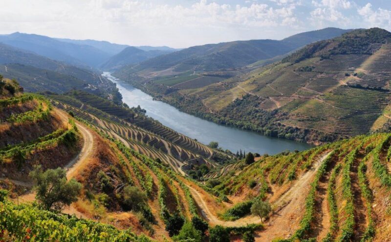 Tour Porto Douro Valley | The richness of Wine | ALL INCLUD. - FAQ About the Douro Valley Tour