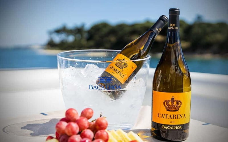 Tour Private Wine Tasting - Exploring the Itinerary in Detail