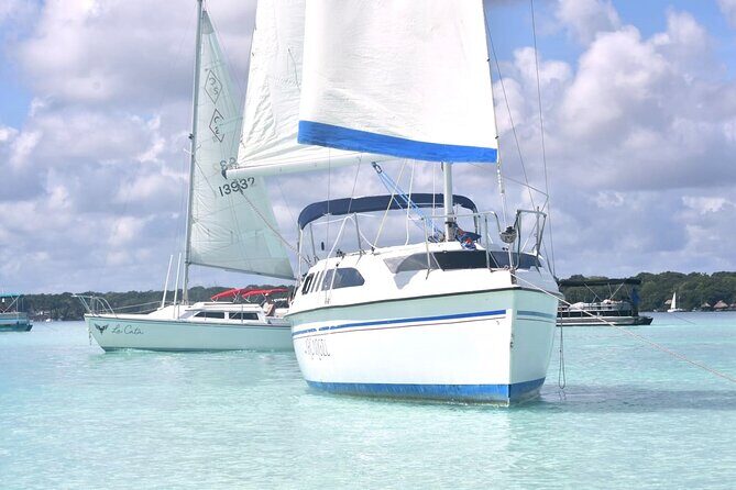 Tour Sailing boat 4 Hours - What Travelers Are Saying