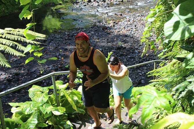 Tour Samoa with a local ~ Half Day Island Tour (Upolu) - Who This Tour Is Best For