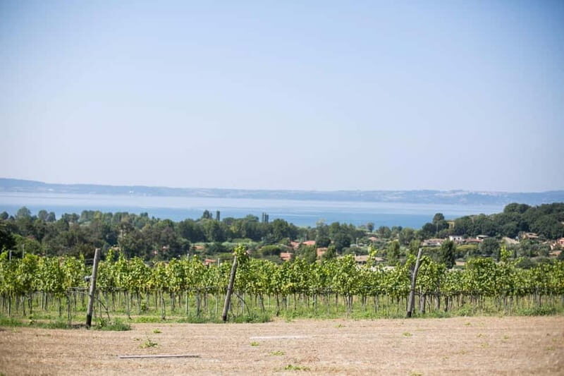 Tour & Tasting at Cantine Capitani - Key Points