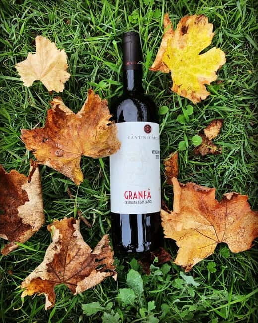 Tour & Tasting at Cantine Capitani - Exploring the Winery: Ancient Meets Modern