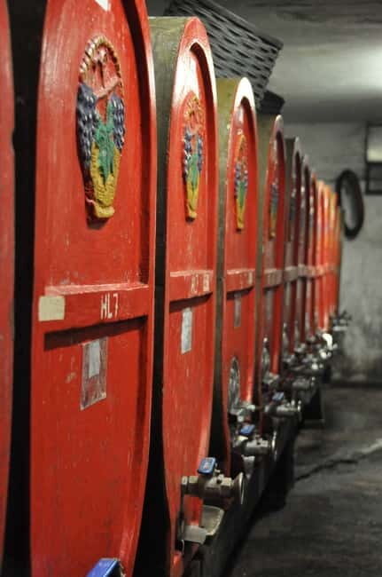 Tour & tasting at Tenuta la Viola - Key Points