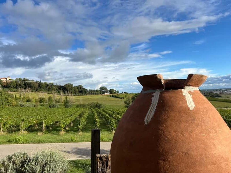 Tour & tasting at Tenuta la Viola - A Deep Dive into the Experience at Tenuta la Viola