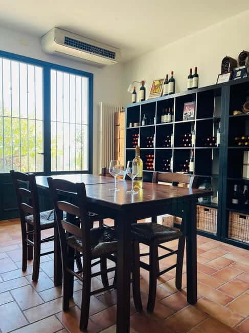 Tour & tasting at Tenuta la Viola - Why This Tour Is Worth Considering