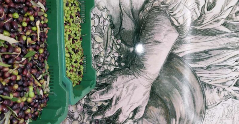 Tour & Tasting of Olive Oil and Tuscan Products - Sarteano - Key Points