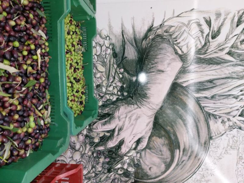 Tour & Tasting of Olive Oil and Tuscan Products - Sarteano - Final Thoughts