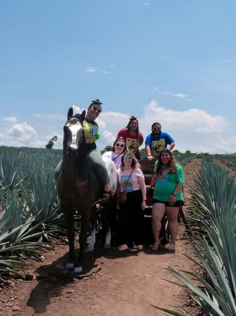 Tour Tequila Loreta Travel&Tour - FAQ