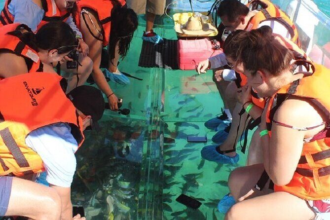 Tour the Arch, Land's End and more in Cabo's original Clear Boat - Key Points