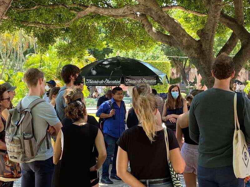 Tour the great city of Mérida, Yucatán - Food and Cultural Highlights