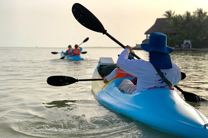 Tour the Mangroves in Kayak by Isla Holbox - Who Will Love This Tour?
