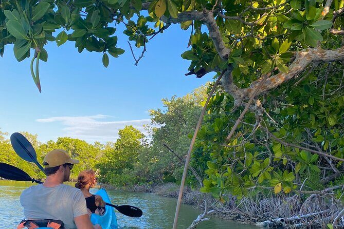 Tour the Mangroves in Kayak by Isla Holbox - The Sum Up