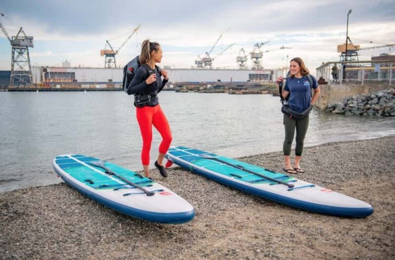 Tour the San Francisco Bay by Kayak or Paddle Board! - The Experience and Its Highlights