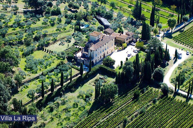 Tour through the vineyards and wine and olive oil tasting in Tuscany - Discover the Charm of Tuscany’s Vineyards at Villa La Ripa