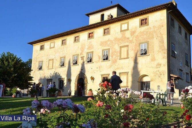 Tour through the vineyards and wine and olive oil tasting in Tuscany - Key Points