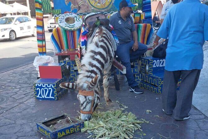 Tour Tijuana & rosarito/the best tacos La pasadita - The Sum Up: Is It Worth It?