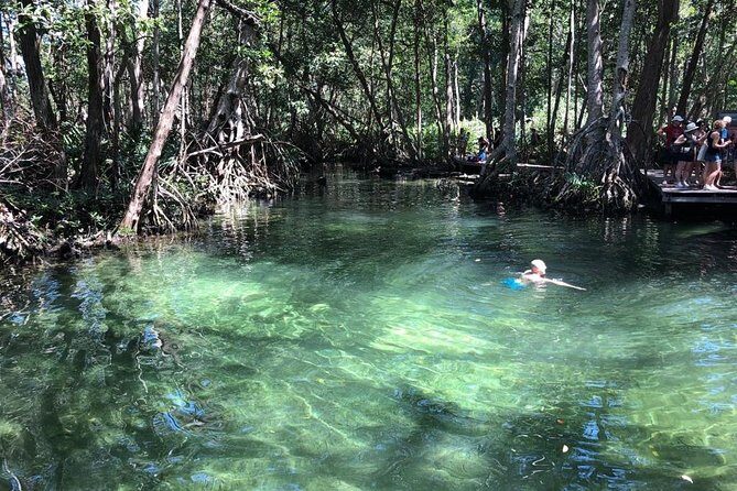 Tour to Celestún - Key Points