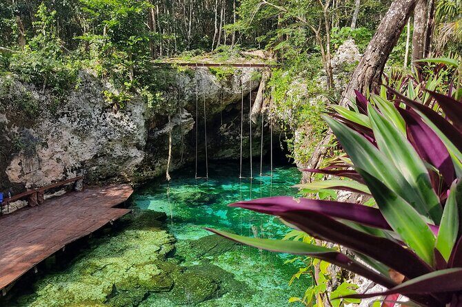 Tour to Coba Tulum and Cenote with Buffet from Tulum - The Sum Up