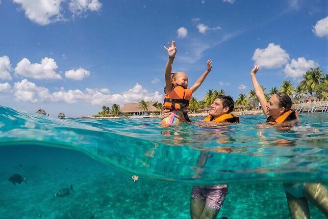 Tour to Cozumel by Catamaran with Snorkeling and Buffet Lunch - Key Points