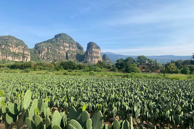 Tour to Discover Tlayacapan, the other side of Tepozteco - A Practical Look at the Tour Experience