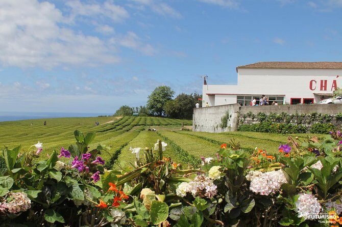 Tour to Furnas and Terra Nostra Garden - full day - Who Would Love This Tour?