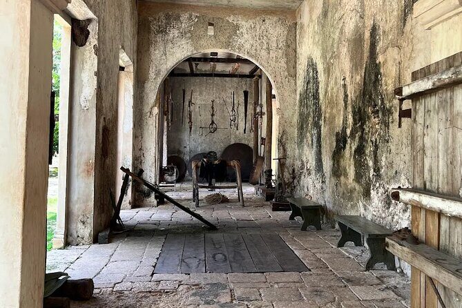 Tour to Hacienda Mucuyché, 2 cenotes & Oxkintok from Merida - Who Should Book This Tour?