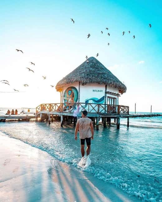 Tour to Holbox with food and transportation from Cancun, Playa del Carmen, and Tulum - Key Points