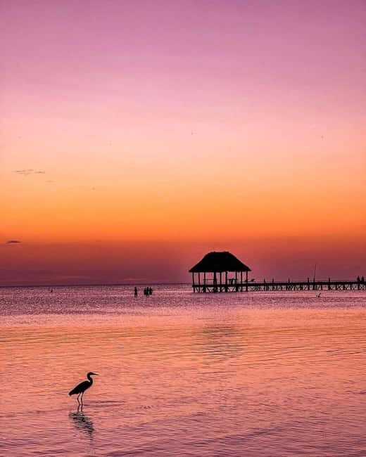 Tour to Holbox with food and transportation from Cancun, Playa del Carmen, and Tulum - FAQ