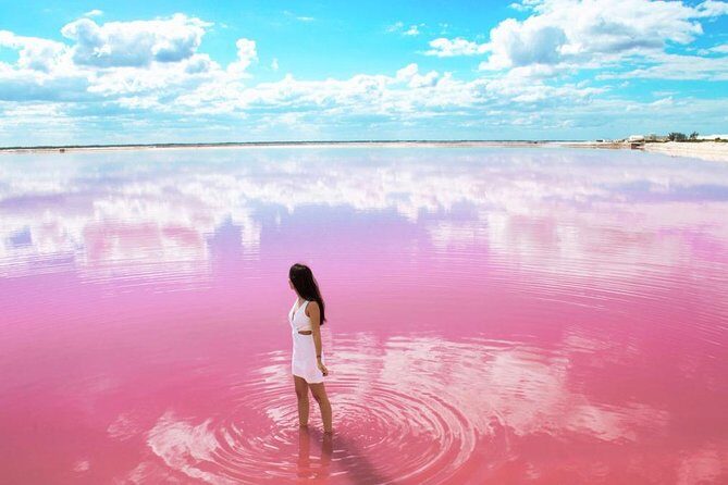 Tour to Las Coloradas Pink Waters and Boat Ride in Rio Lagartos with Lunch. - An In-Depth Look at the Tour