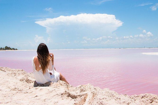 Tour to Las Coloradas Pink Waters and Boat Ride in Rio Lagartos with Lunch. - Who Is This Tour Best For?