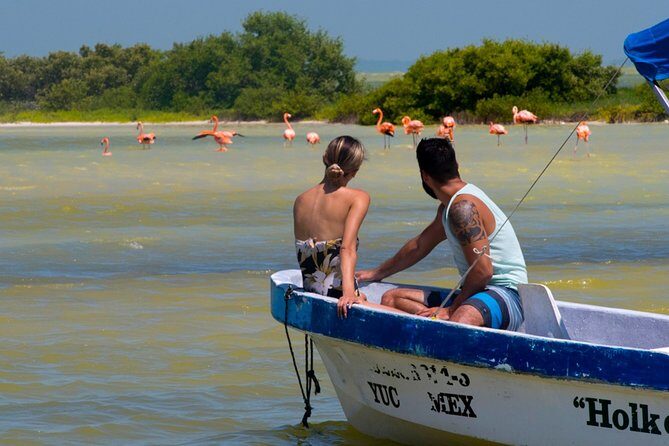 Tour to Las Coloradas Pink Waters and Boat Ride in Rio Lagartos with Lunch. - FAQ: Your Practical Questions Answered