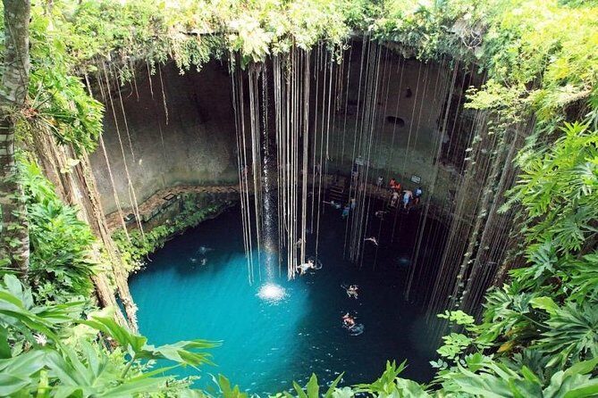 Tour to Pink Lake and Rio Lagartos from Cancun - Who Is This Tour Best For?