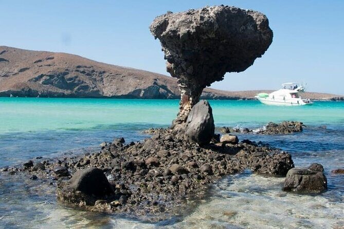 Tour to Playa La Paz from Cabo San Lucas - Exploring the Playa La Paz Tour from Cabo San Lucas: An In-Depth Review